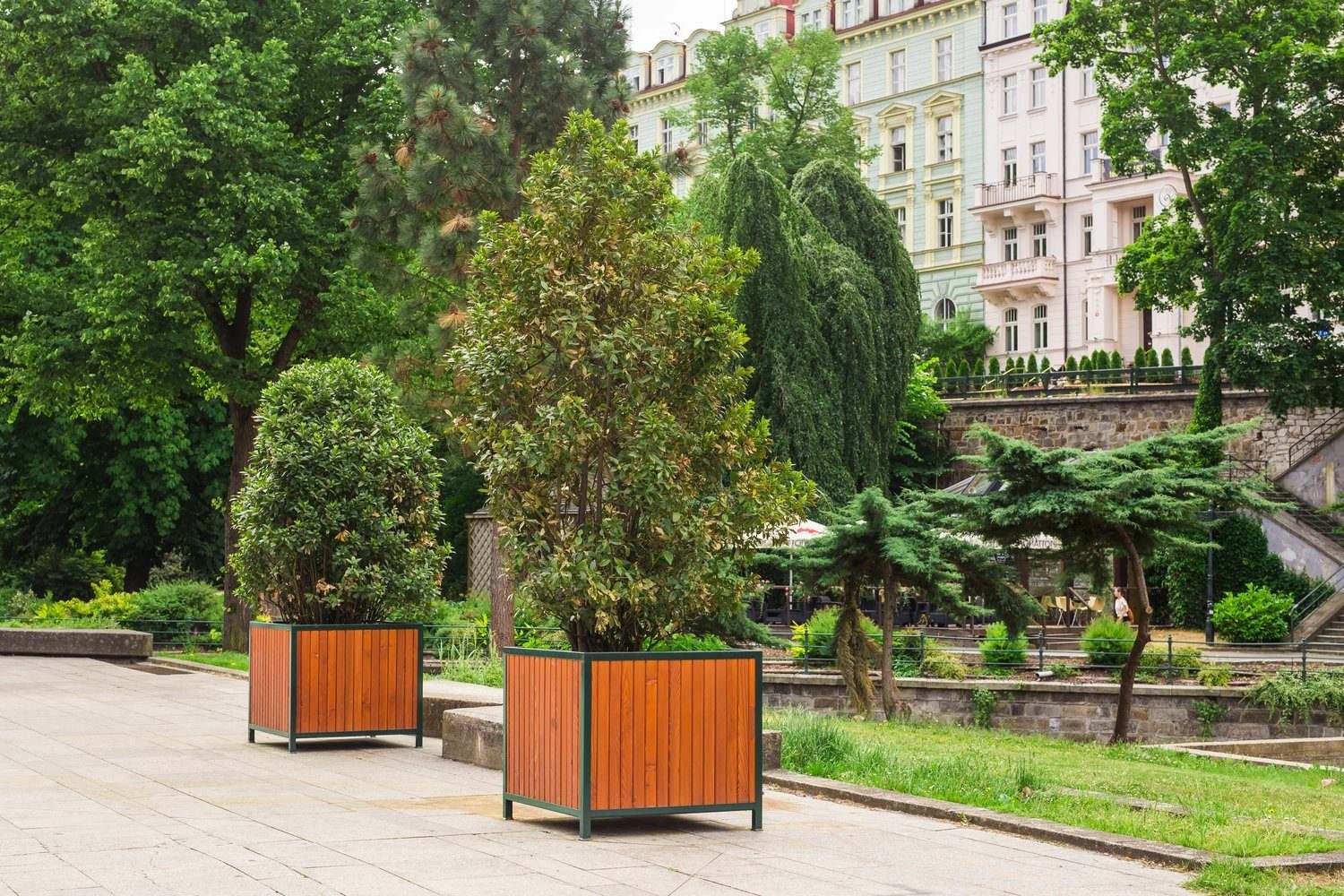 Drzewa w dużych donicach na brukowanym placu miejskim